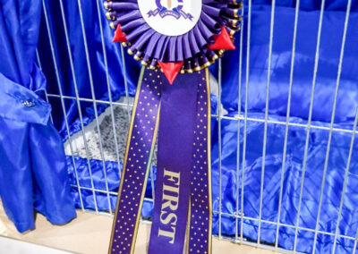 rosette first