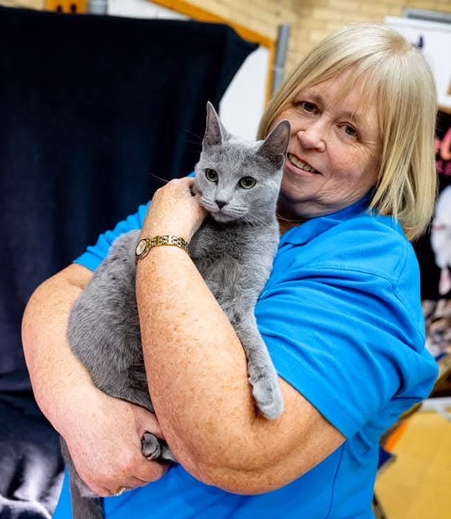 Russian Blue in her owners arms