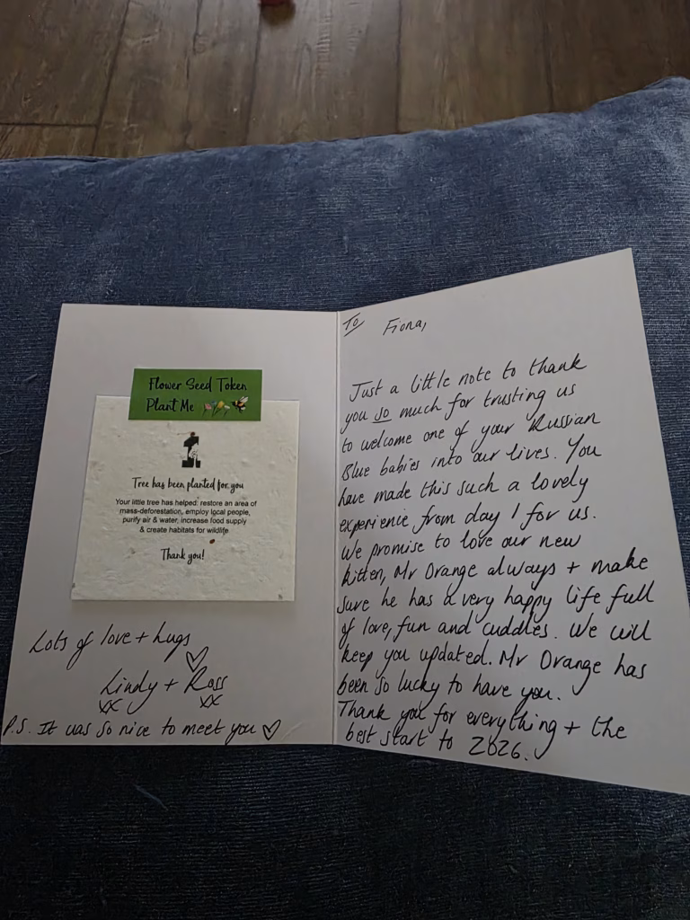 A thank you note from very thankful kitten owners